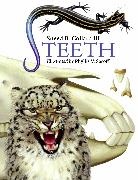 Sneed B Collard, Sneed B. Collard, Sneed B. III Collard, Sneed B./ Saroff Collard, Phyllis V. Saroff, Phyllis V. Saroff - Teeth
