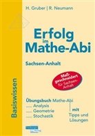 Helmu Gruber, Helmut Gruber, Robert Neumann - Erfolg im Mathe-Abi: Sachsen-Anhalt, Basiswissen
