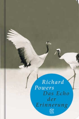 Richard Powers - Das Echo der Erinnerung - Roman. Ausgezeichnet mit dem National Book Award 2006