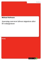 Michael Hofmann - Assessing east-west labour migration after EU-enlargement