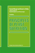 A Gianturco, A Gianturco, Franco A. Gianturco, Cliffor M Surko, Clifford M Surko, Clifford M. Surko - New Directions in Antimatter Chemistry and Physics