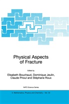 Elisabeth Bouchaud, Dominiqu Jeulin, Dominique Jeulin, Claude Prioul, Claude Prioul et al, Stéphane Roux - Physical Aspects of Fracture