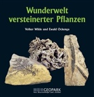 Volker Wilde, Ewald Ockenga - Wunderwelt versteinerter Pflanzen