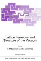 V. Mitrjushkin, Valy Mitrjushkin, Valya Mitrjushkin, Schierholz, Schierholz, G. Schierholz... - Lattice Fermions and Structure of the Vacuum