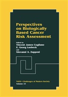 Giovanni A Zapponi, Vincent James Cogliano, Georg Luebeck, E Georg Luebeck, E. Georg Luebeck, Giovanni A. Zapponi - Perspectives on Biologically Based Cancer Risk Assessment