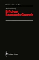 Stefan Homburg - Efficient Economic Growth