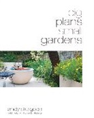 Alex Sturgeon, Andy Sturgeon - Big Plans Small Gardens