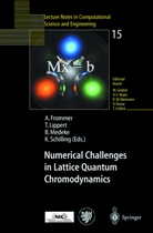 Andreas Frommer, Thoma Lippert, Thomas Lippert, Bjoern Medeke, Björn Medeke, Bjoern Medeke et al... - Numerical Challenges in Lattice Quantum Chromodynamics