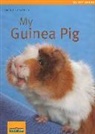 Immanuel Birmelin - My Guinea Pig