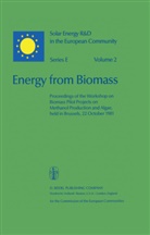GRASSI, Grassi, G. Grassi, Willek Palz, Willeke Palz - Energy from Biomass