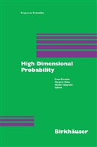 Erns Eberlein, Ernst Eberlein, Hahn, Hahn, Marjorie Hahn, Michel Talagrand - High Dimensional Probability