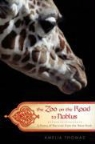 Amelia Thomas - Zoo on the Road to Nablus