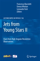 Francesca Bacciotti, Leonardo Testi, Emm Whelan, Emma Whelan - Jets from Young Stars II