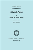 A Schutz, A. Schutz, Alfred Schütz, Brodersen, A Brodersen, A. Brodersen - Collected Papers II. Vol.2