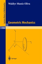 W. M. Oliva, Waldyr M. Oliva, Waldyr Muniz Oliva - Geometric Mechanics