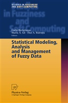 Mari A Gil, Maria A Gil, Dan A Ralescu, Carlo Bertoluzza, Maria A. Gil, Dan A. Ralescu - Statistical Modeling, Analysis and Management of Fuzzy Data