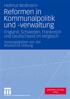 Hellmut Wollmann, Wüstenro Stiftung, Wüstenrot Stiftung, Wüstenrot Stiftung - Reformen in Kommunalpolitik und -verwaltung