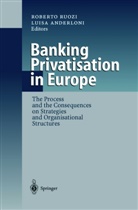 Anderloni, Anderloni, Luisa Anderloni, Robert Ruozi, Roberto Ruozi - Banking Privatisation in Europe