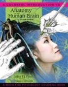 Maggie Edwards, Maggie E. Edwards, John Pinel, John P. J. Pinel, John P.J. Pinel - The Anatomy of the Human Brain