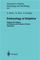 Mila Klima, Milan Klima, Bernd Schildger, Oldric Sterba, Oldrich Sterba - Embryology of Dolphins