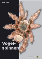 Soren Rafn, Søren Rafn, Sren Rafn - Vogelspinnen