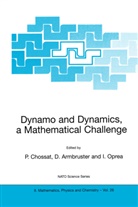 Diete Armbruster, Dieter Armbruster, P. Chossat, Pascal Chossat, Iuliana Oprea - Dynamo and Dynamics, a Mathematical Challenge