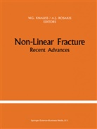 G Knauss, W G Knauss, J Rosakis, J Rosakis, W. G. Knauss, Wolfgang Knauss... - Non-Linear Fracture