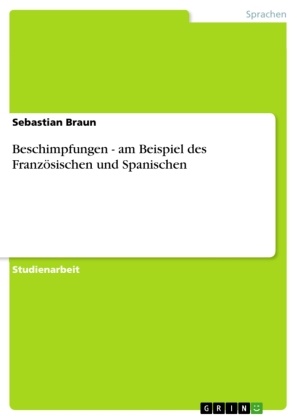 Sebastian Braun - Beschimpfungen - am Beispiel des Französischen und Spanischen