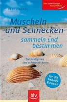 Gert Lindner - Muscheln und Schnecken sammeln und bestimmen