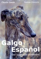Ebbrecht, Thomas Ebbrecht, Gaed, Claudi Gaede, Claudia Gaede - Galgo Español