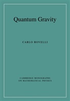 Carlo Rovelli, Carlo (Centre de Physique Theorique Rovelli - Quantum Gravity