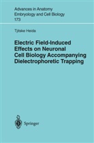 T. Heida, Tjitske Heida - Electric Field-Induced Effects on Neuronal Cell Biology Accompanying Dielectrophoretic Trapping