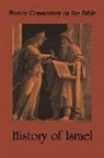 Watson E. Mills, Richard F. Wilson - History of Israel
