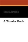 Nathaniel Hawthorne - A Wonder Book