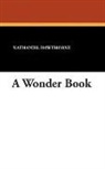 Nathaniel Hawthorne - A Wonder Book