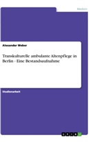 Alexander Weber - Transkulturelle ambulante Altenpflege in Berlin - Eine Bestandsaufnahme