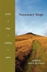 David Kennedy - Necessary Steps