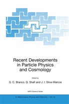 G. C. Branco, G.C. Branco, J I Silva-Marcos, Shafi, Q Shafi, Q. Shafi... - Recent Developments in Particle Physics and Cosmology