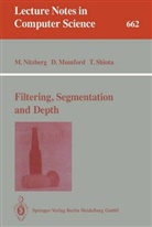 Davi Mumford, David Mumford, Mar Nitzberg, Mark Nitzberg, Takahiro Shiota - Filtering, Segmentation and Depth