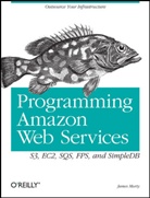J. Barr, James Murty, Robert Romano, Mike Loukides - Programming Amazon Web Services