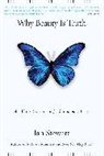 Ian Stewart - Why Beauty is Truth