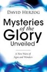 David Herzog - Mysteries of the Glory Unveiled