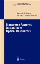 V. J. S¿hez-Morcillo, V. J. Sanchez-Morcillo, V.-J. Sanchez-Morcillo, V J Sánchez-Morcillo, V. J. Sánchez-Morcillo, V.J. Sánchez-Morcillo... - Transverse Patterns in Nonlinear Optical Resonators