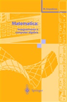 Michele Impedovo - Matematica: insegnamento e computer algebra