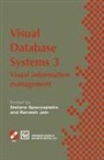Jain, Jain, Ramesh Jain, Stefan Spaccapietra, Stefano Spaccapietra - Visual Database Systems 3