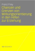 Franz Frey - Was wirkt? Chancen und Grenzen von Wirkungsorientierung in den Hilfen zur Erziehung