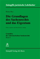 Heinz Rey - Die Grundlagen des Sachenrechts und das Eigentum (f. d. Schweiz)