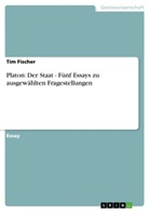 Tim Fischer - Platon: Der Staat - Fünf Essays zu ausgewählten Fragestellungen