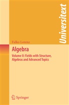 Falko Lorenz - Algebra. Vol.II