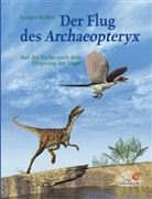 Ludger Bollen, Ludger Bollen - Der Flug des Archaeopteryx